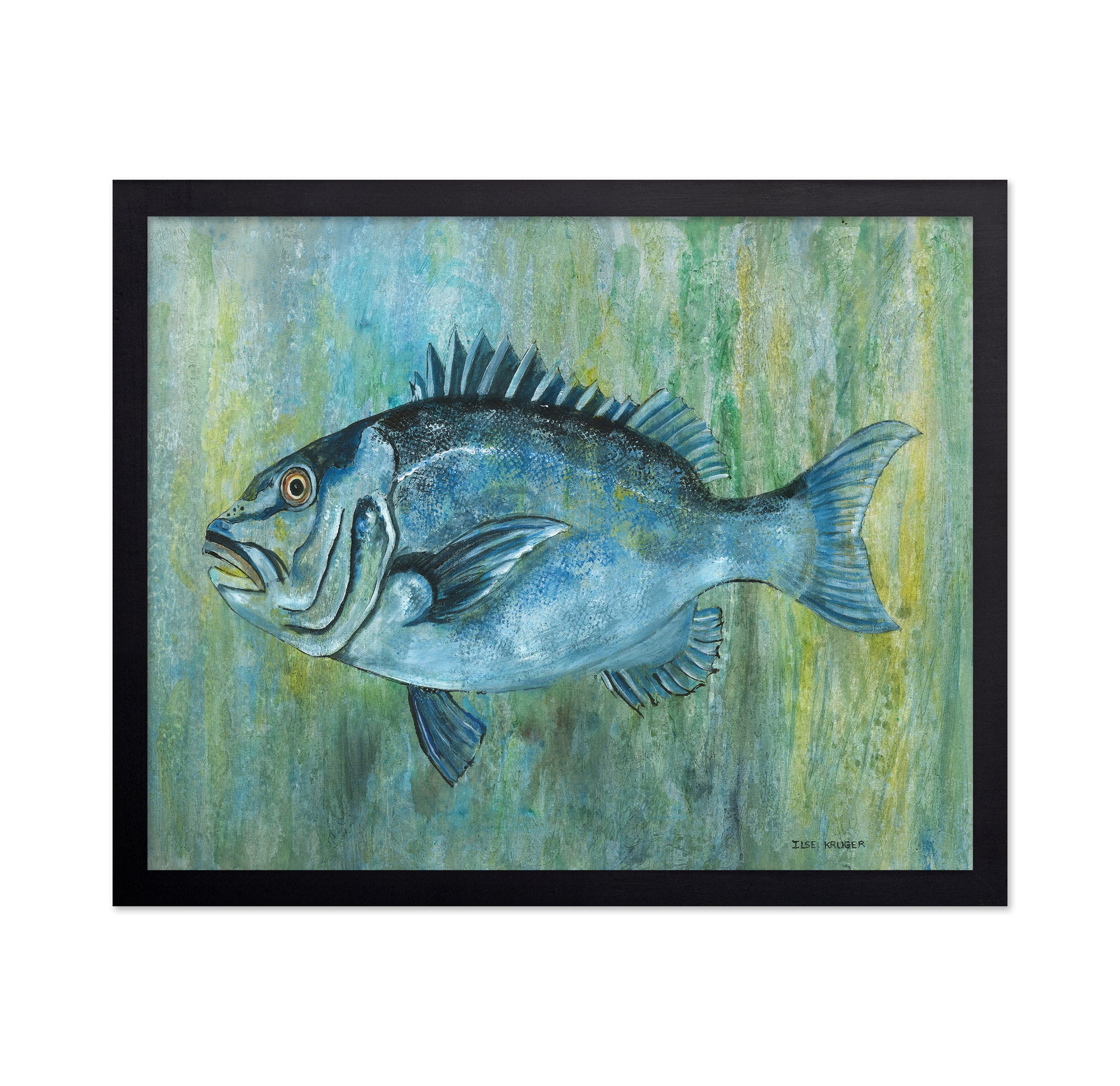 Fish With Vibrant Blue Hues