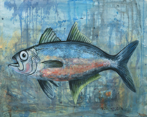 Vibrant Fish Splash