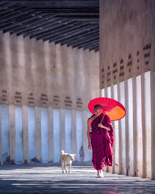 Monk And A Dog