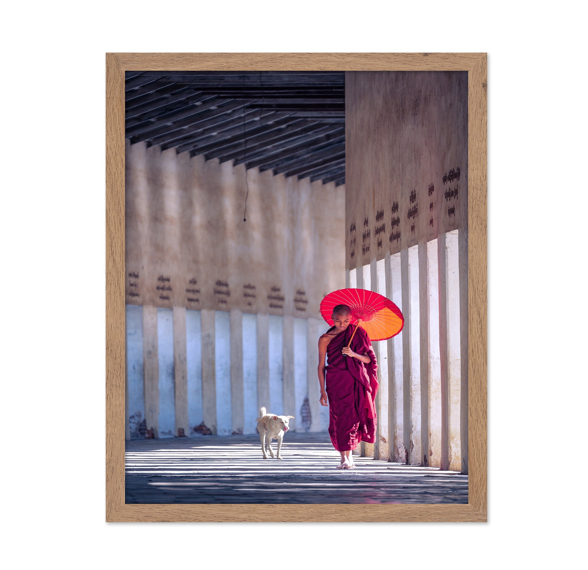 Monk And A Dog