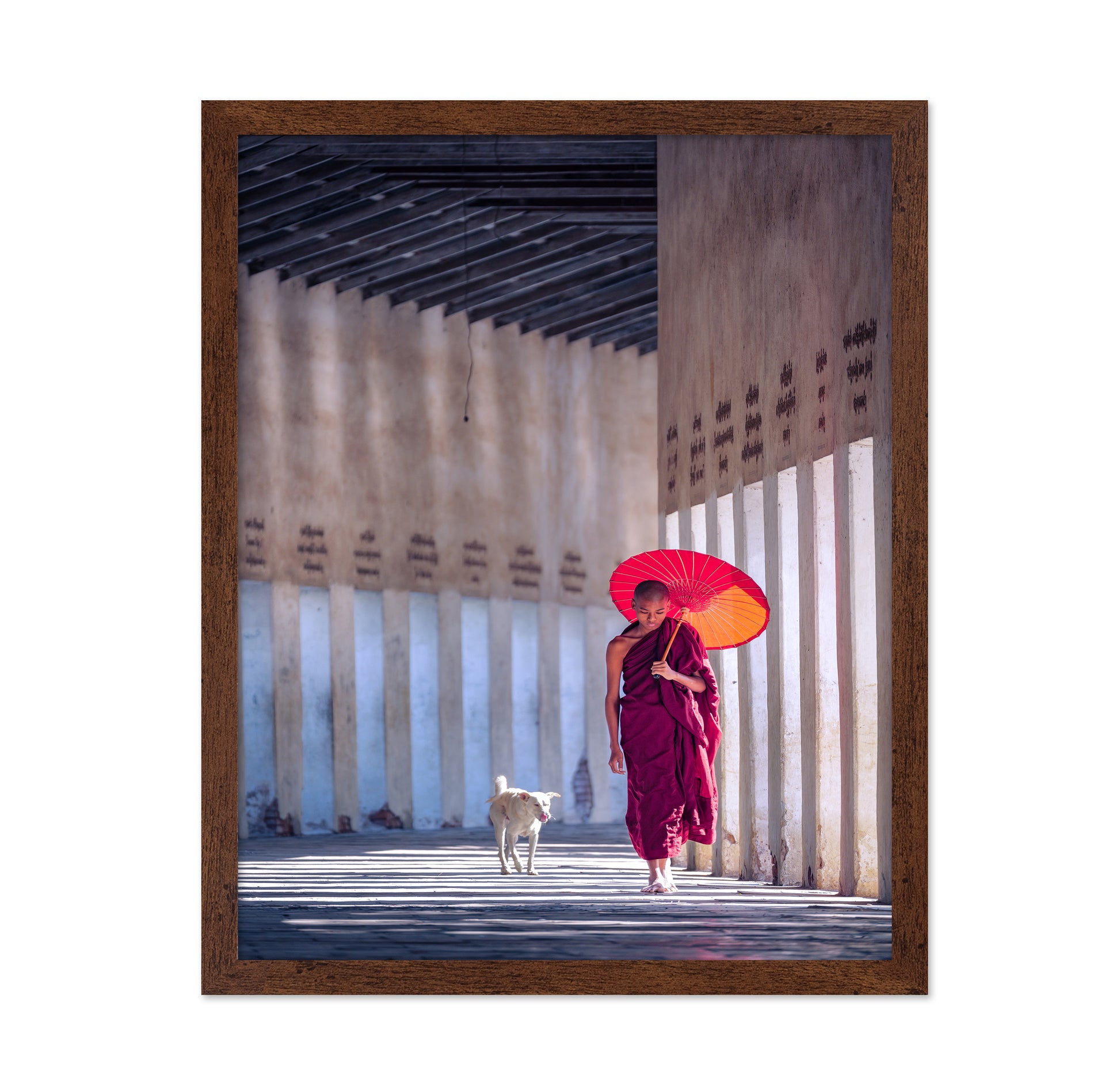 Monk And A Dog