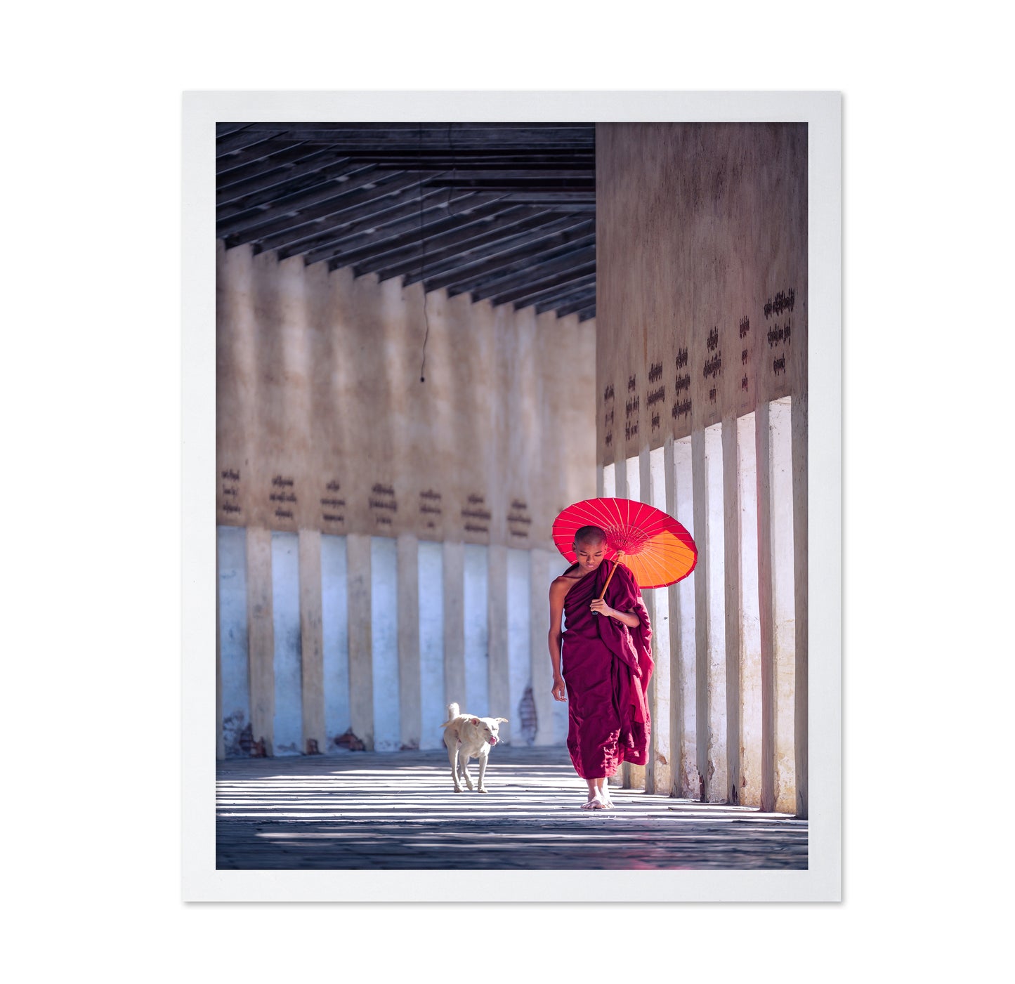 Monk And A Dog
