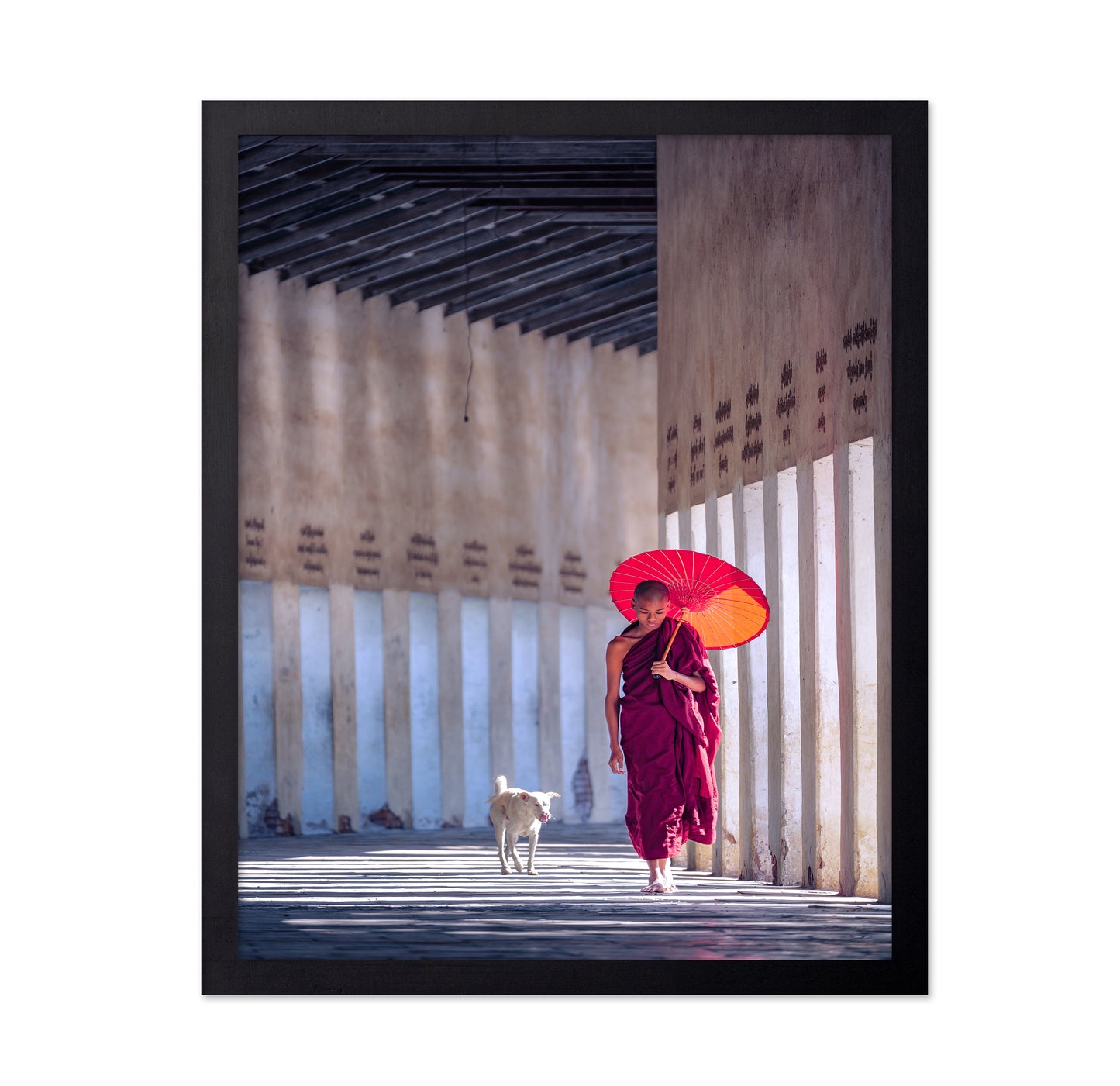 Monk And A Dog