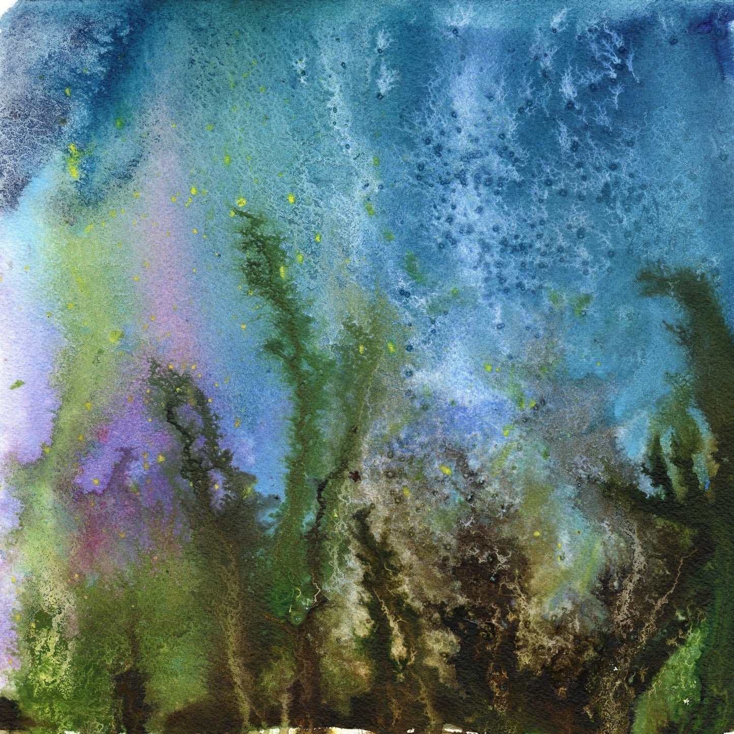 Water Weeds