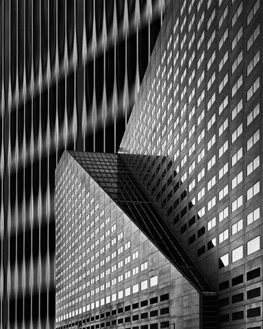 Patches Of Light