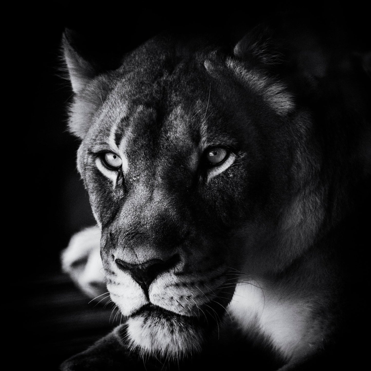 The Look