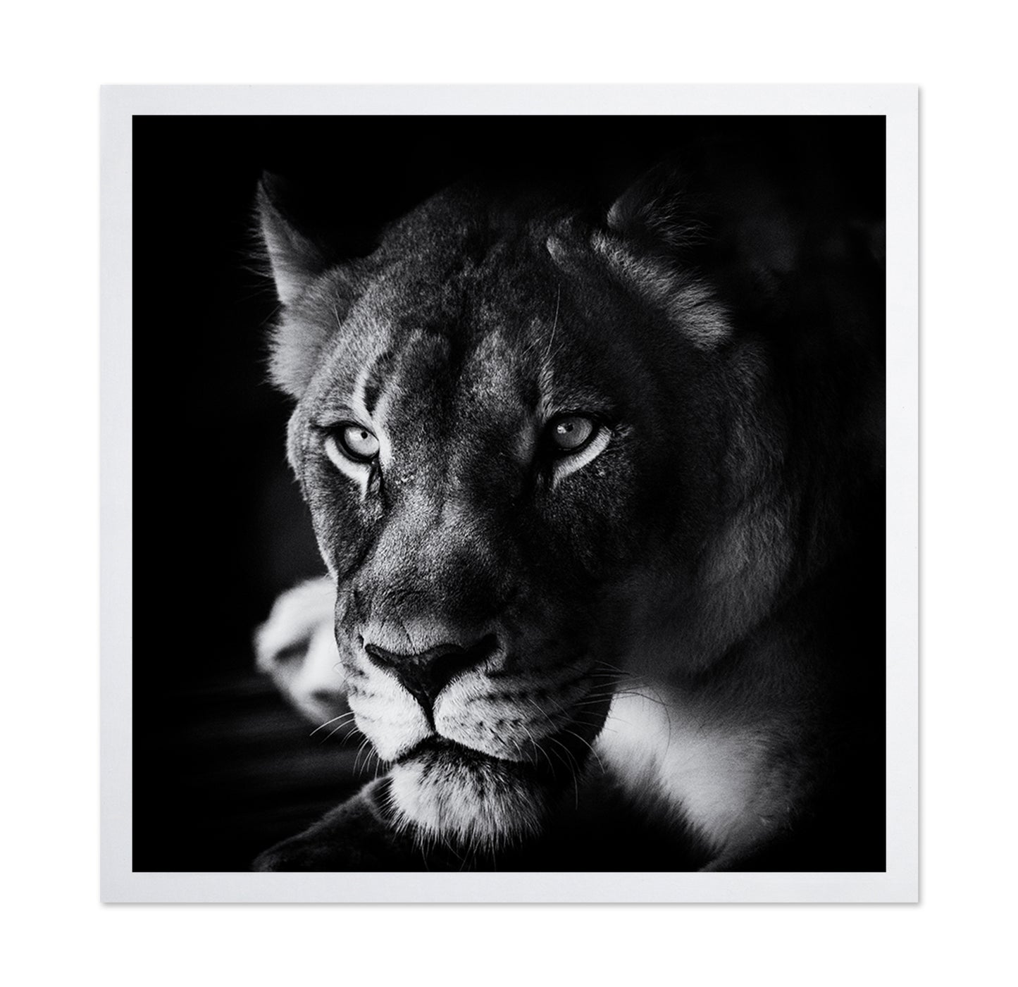 The Look