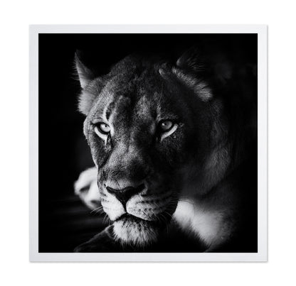 The Look