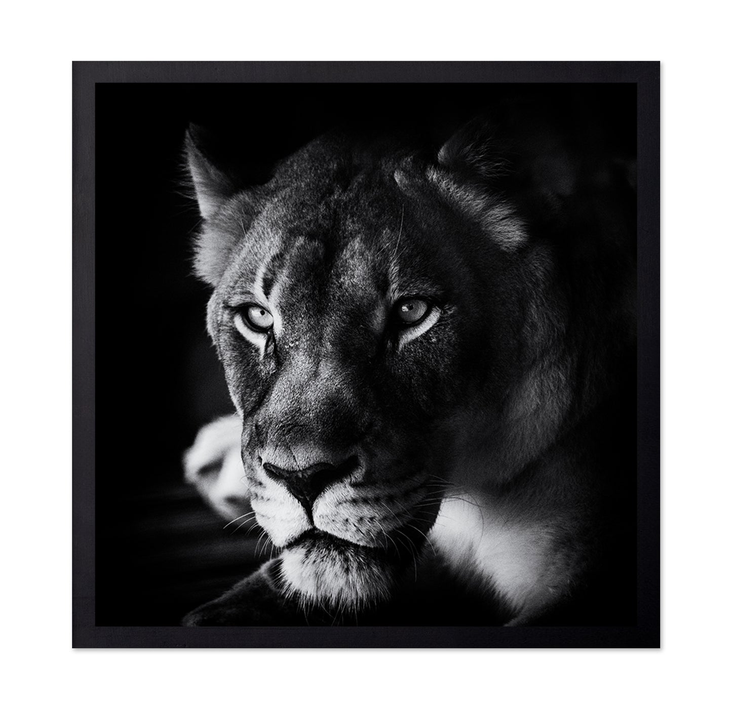 The Look