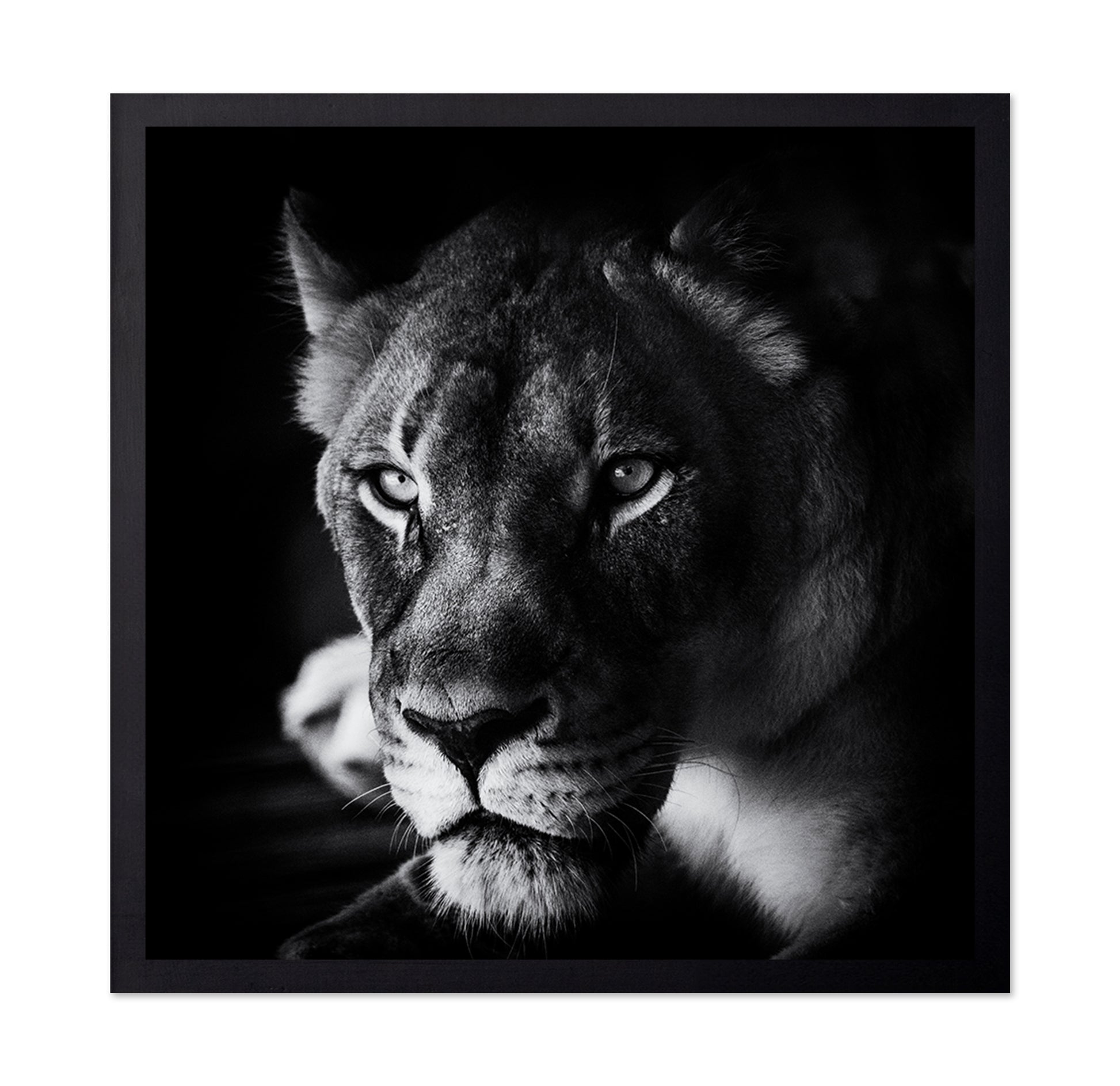The Look
