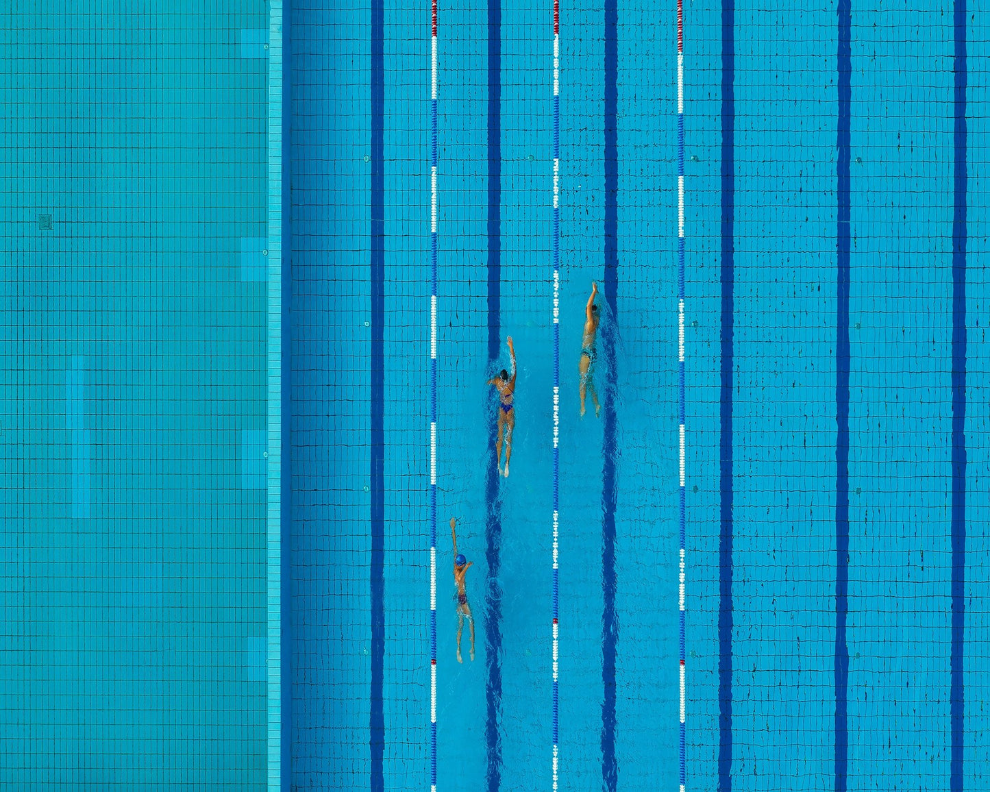 Swimmers in Lanes