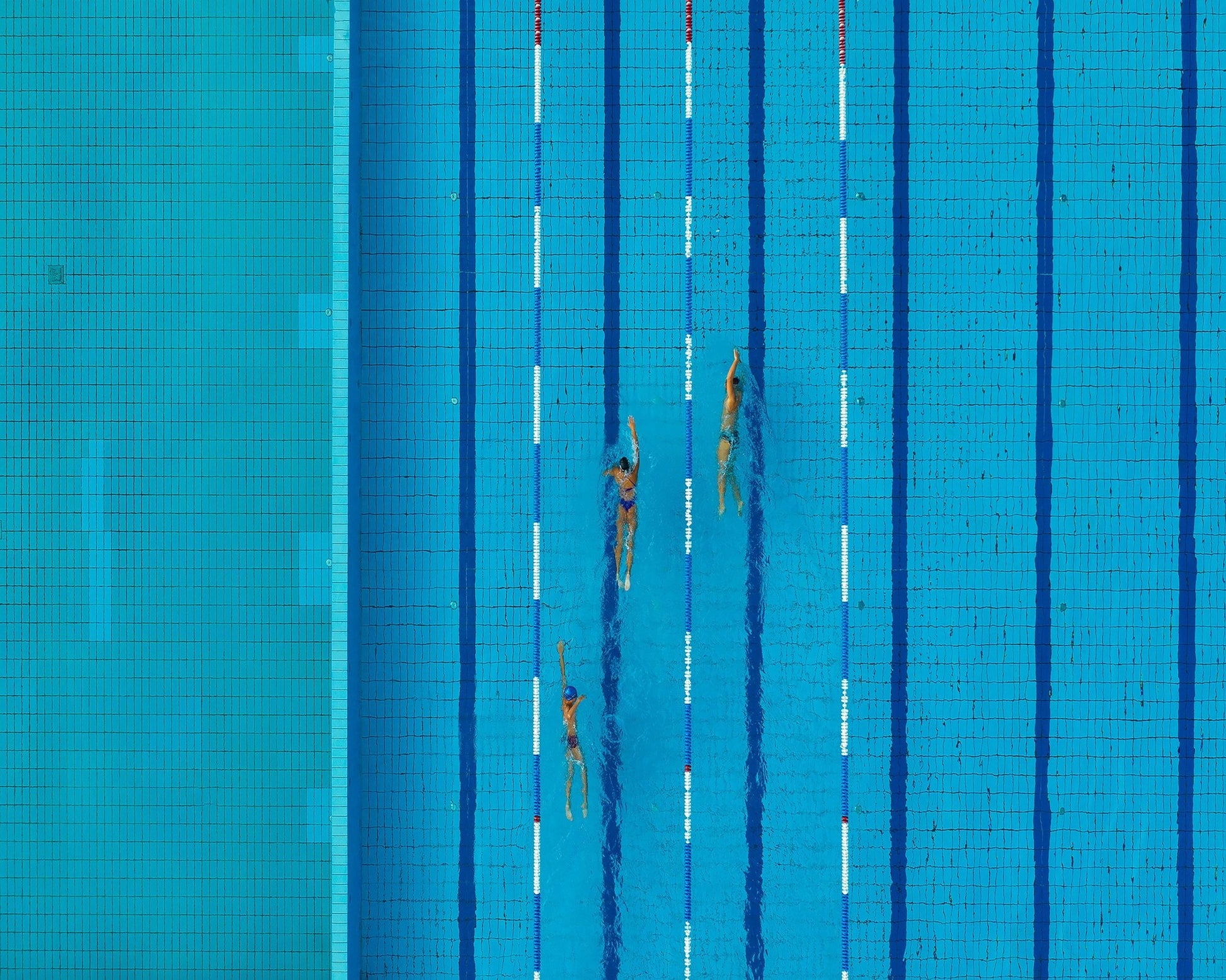 Swimmers in Lanes