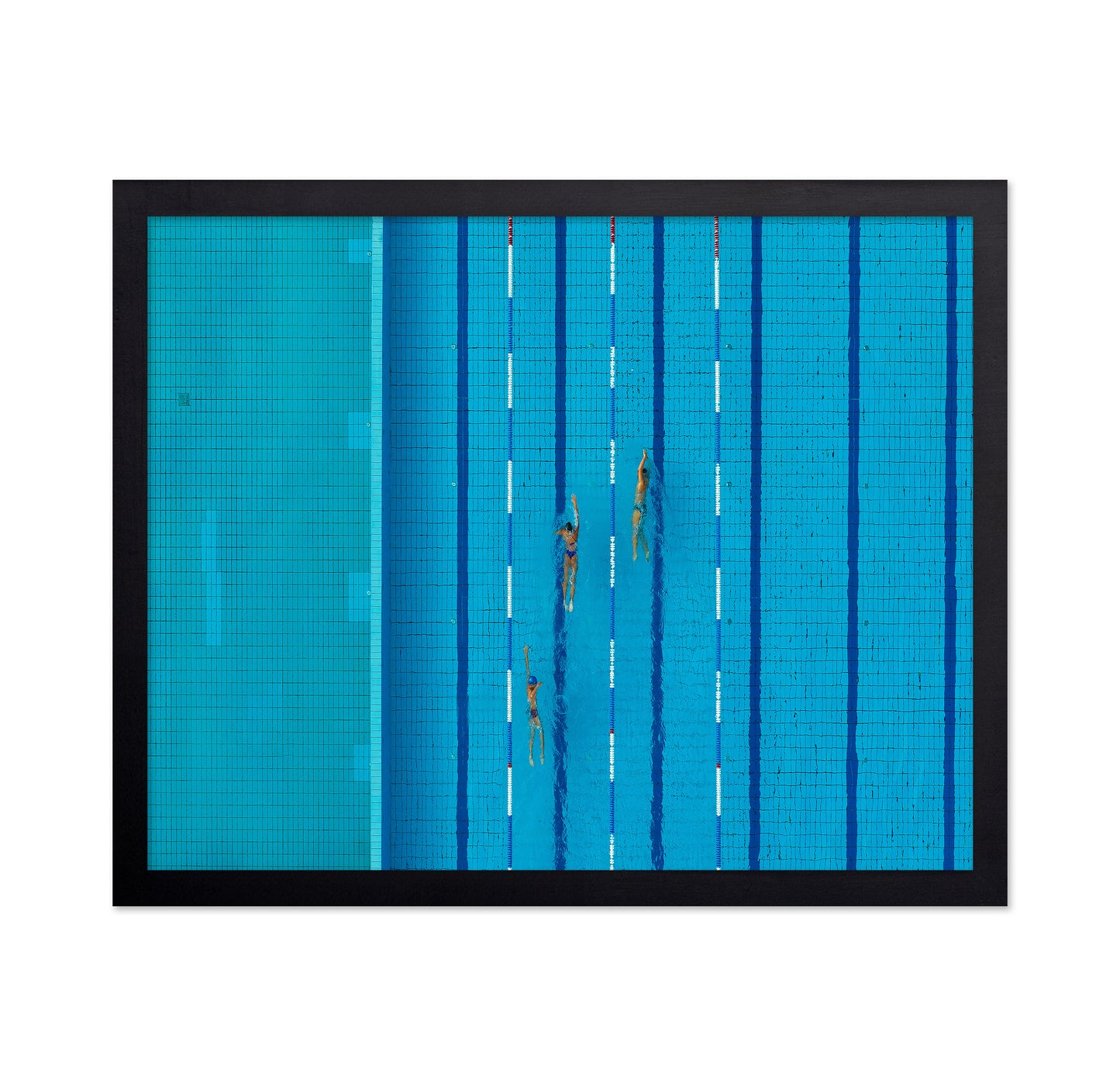 Swimmers in Lanes