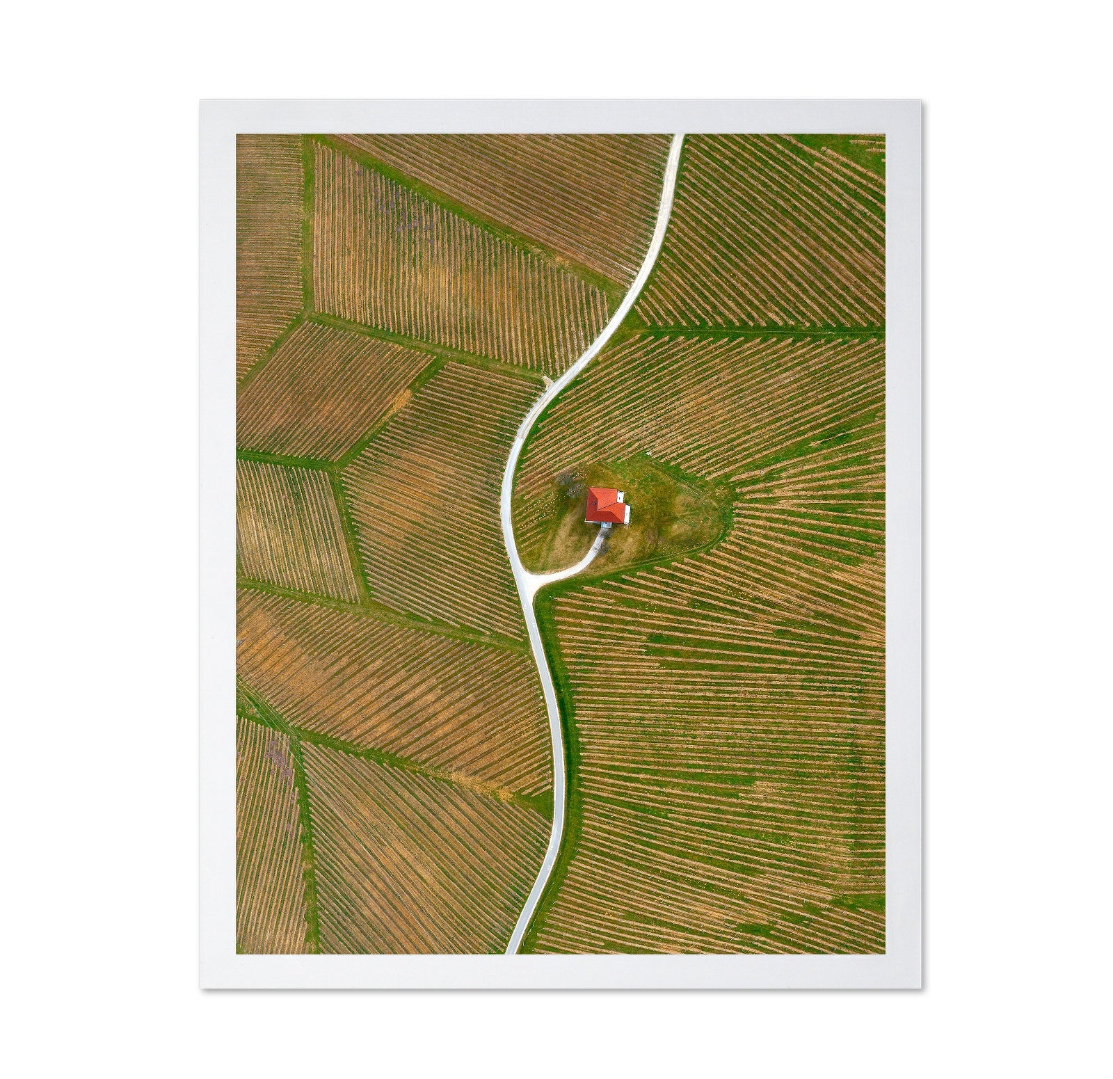 Vinyards