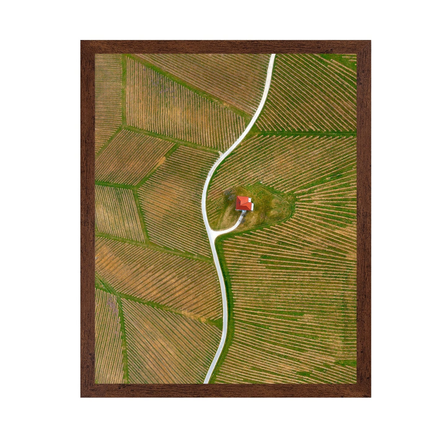 Vinyards