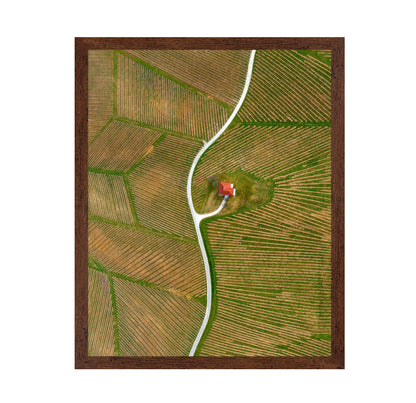 Vinyards