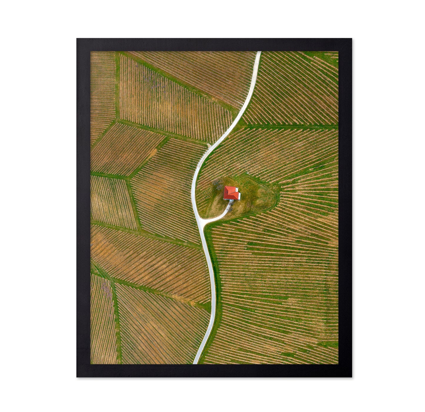 Vinyards