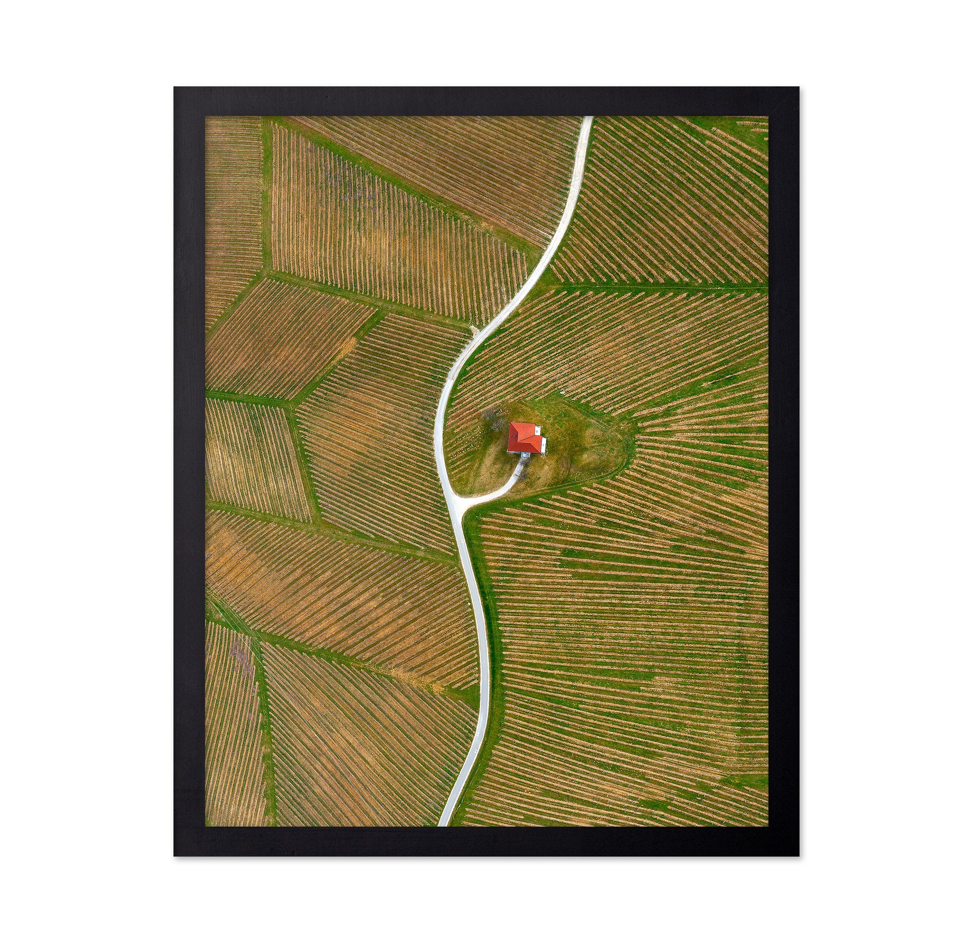 Vinyards