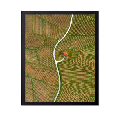 Vinyards