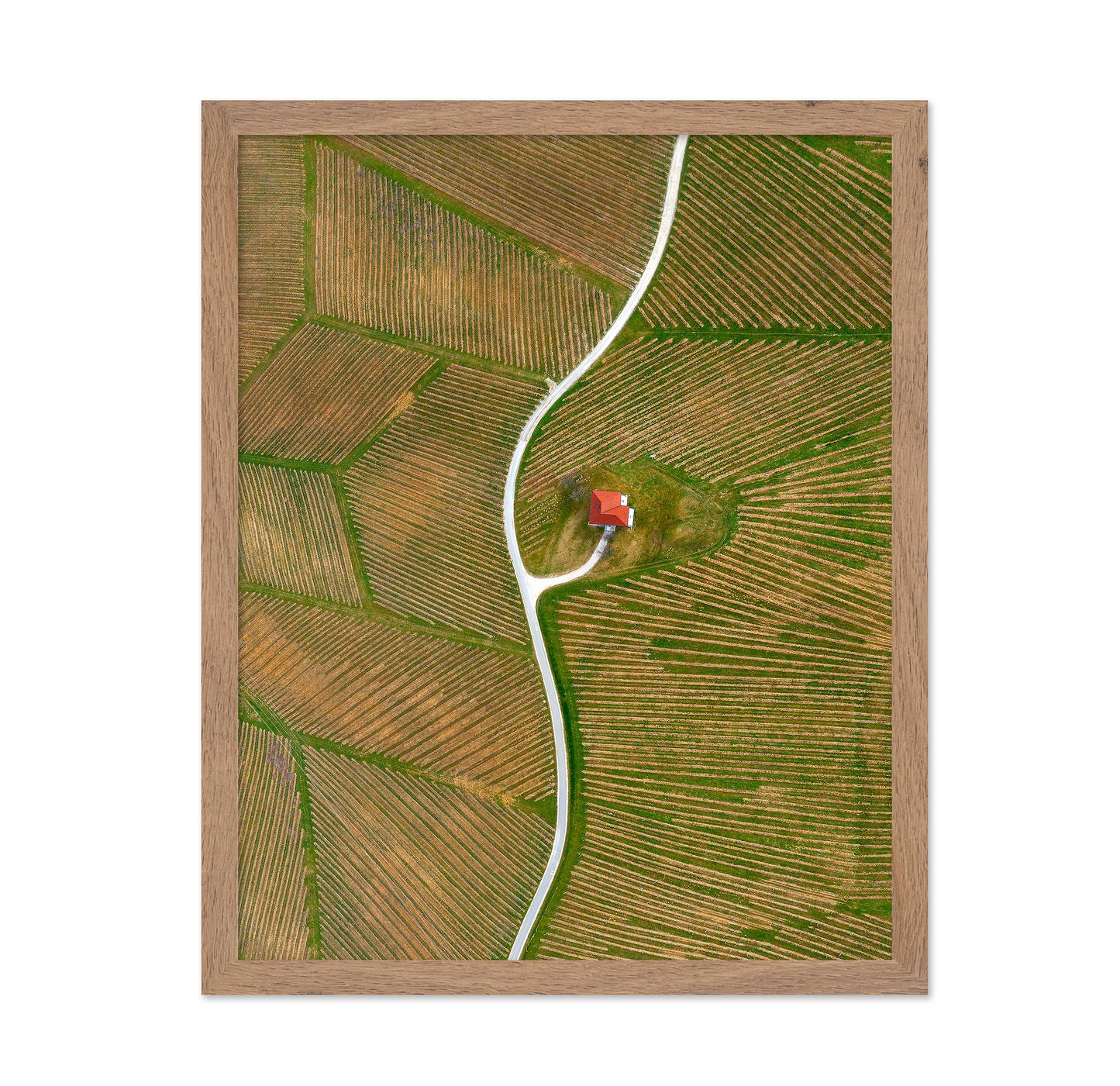 Vinyards
