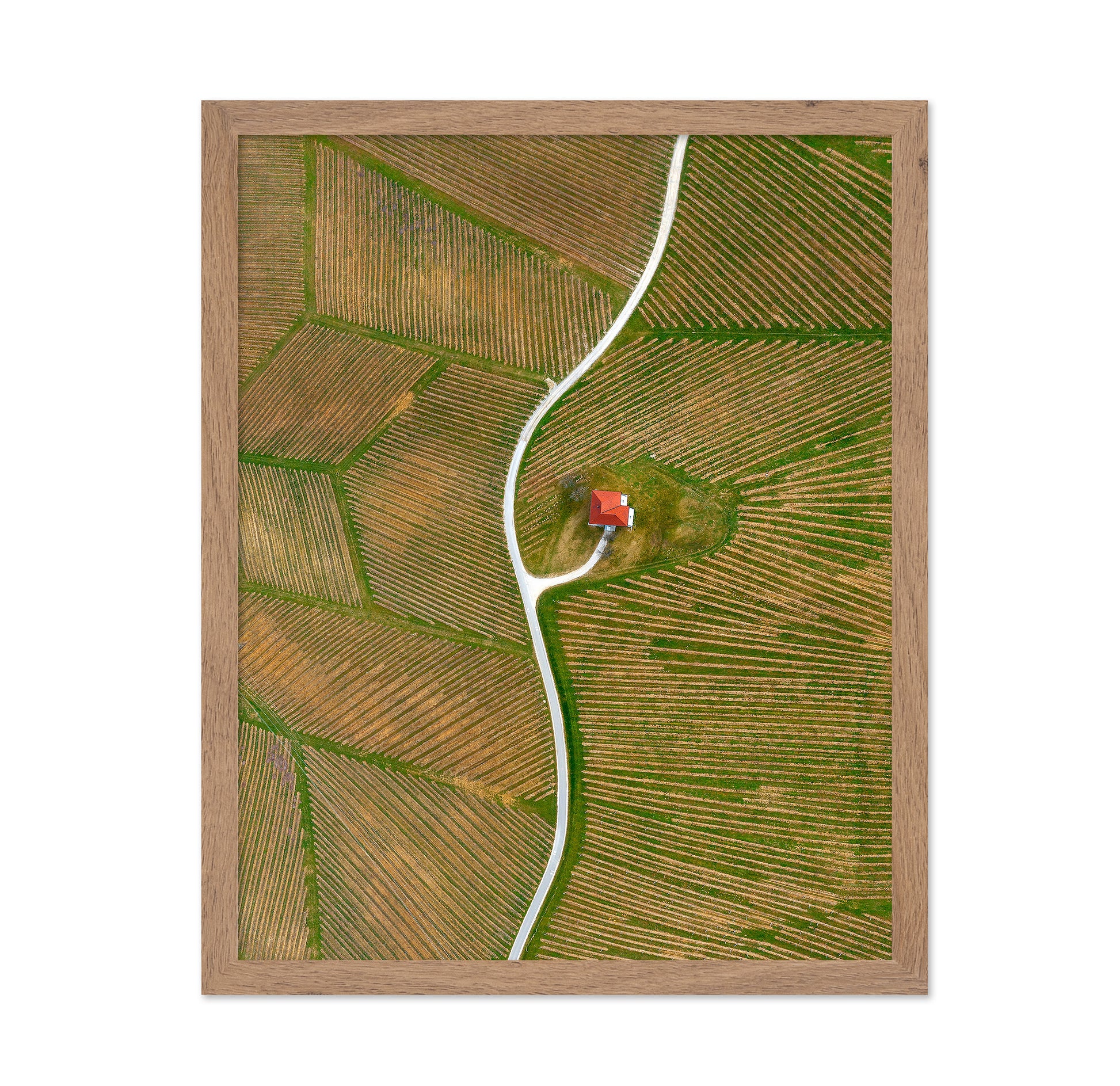 Vinyards