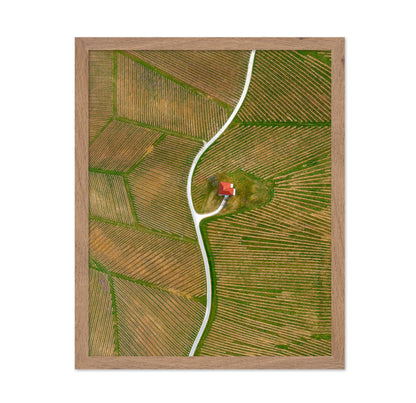 Vinyards