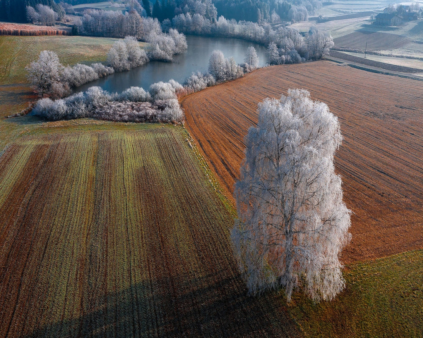 Winter Playground