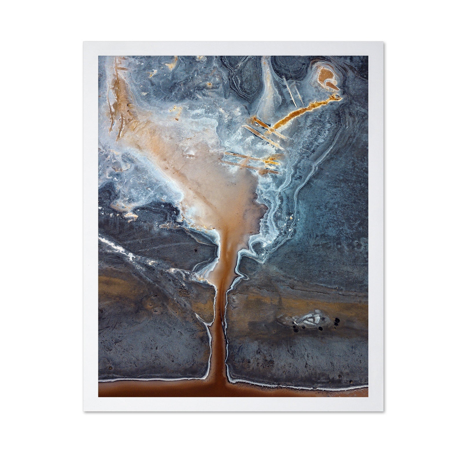 Salt Fields