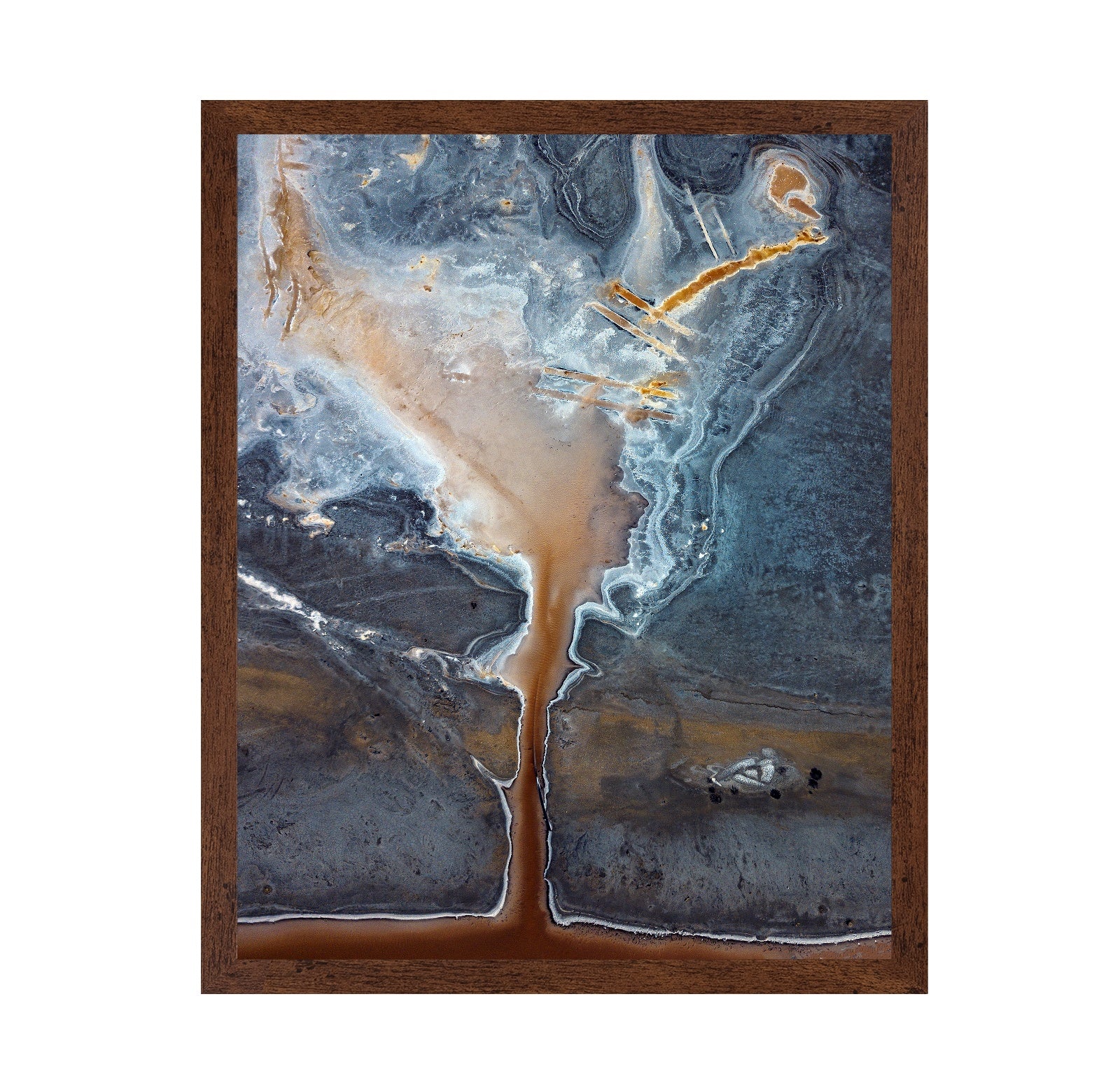Salt Fields