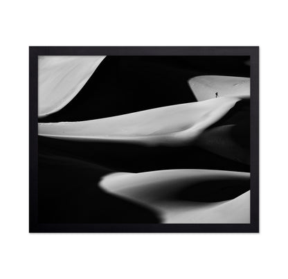 Dune X