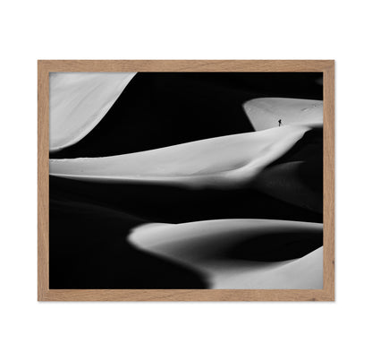 Dune X