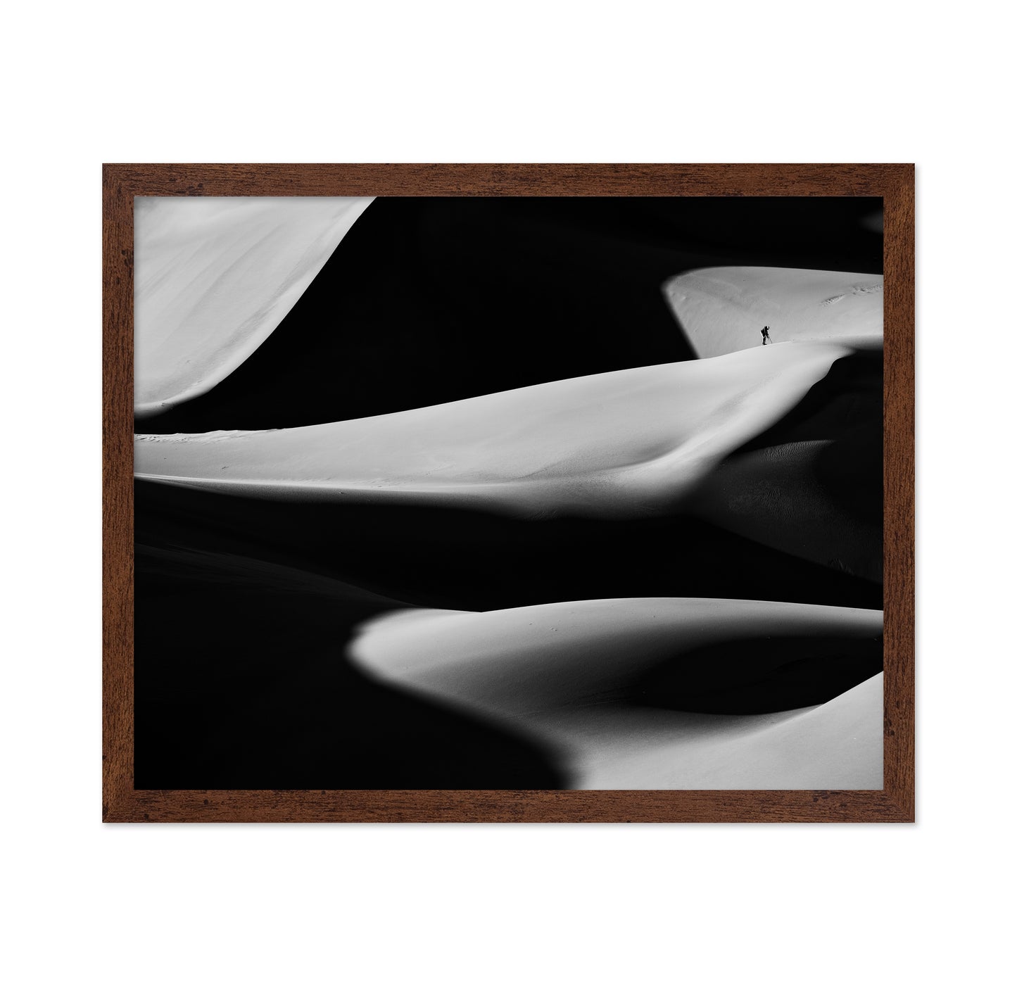 Dune X