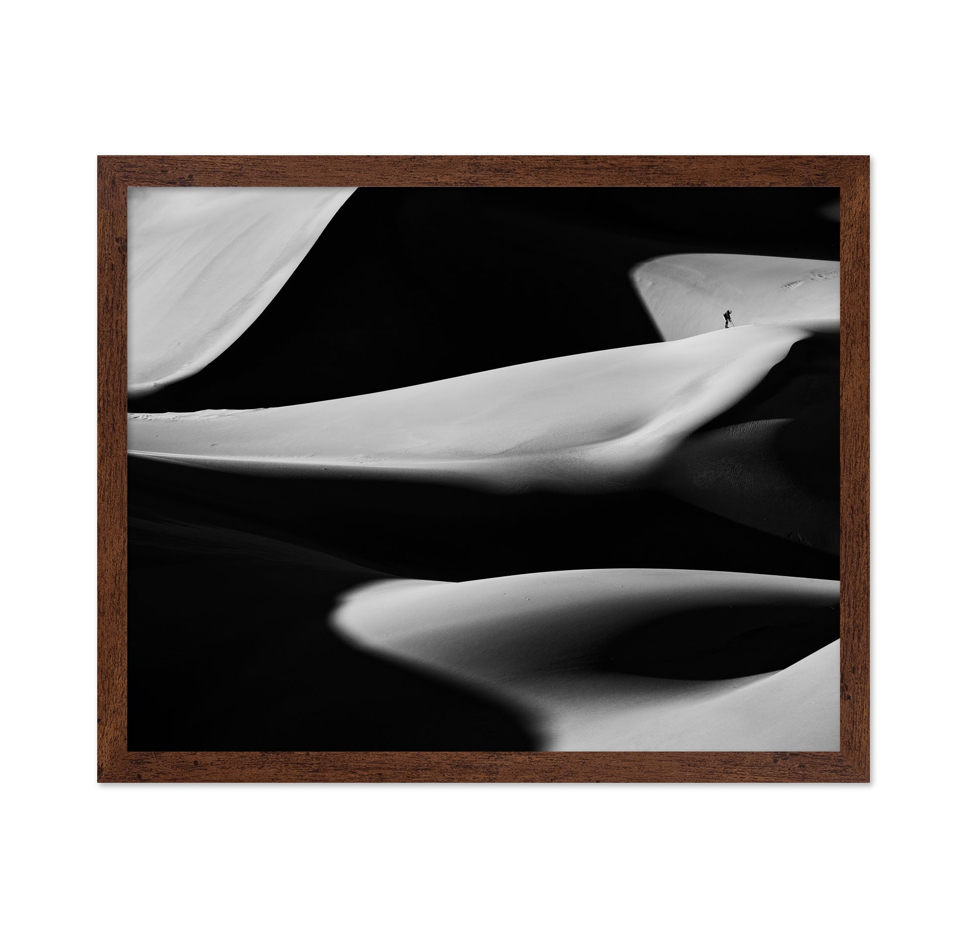 Dune X