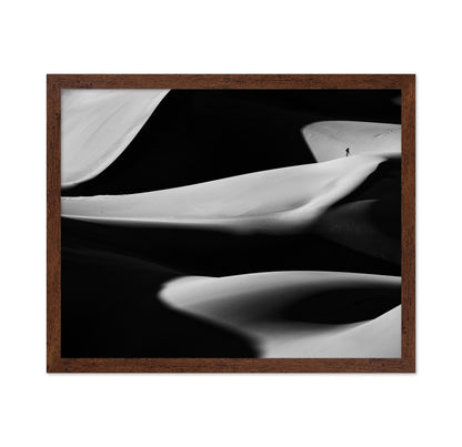 Dune X