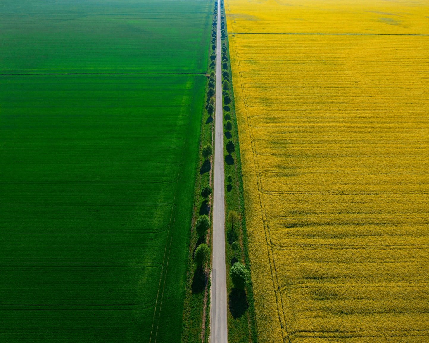 Colours of Prekmurje