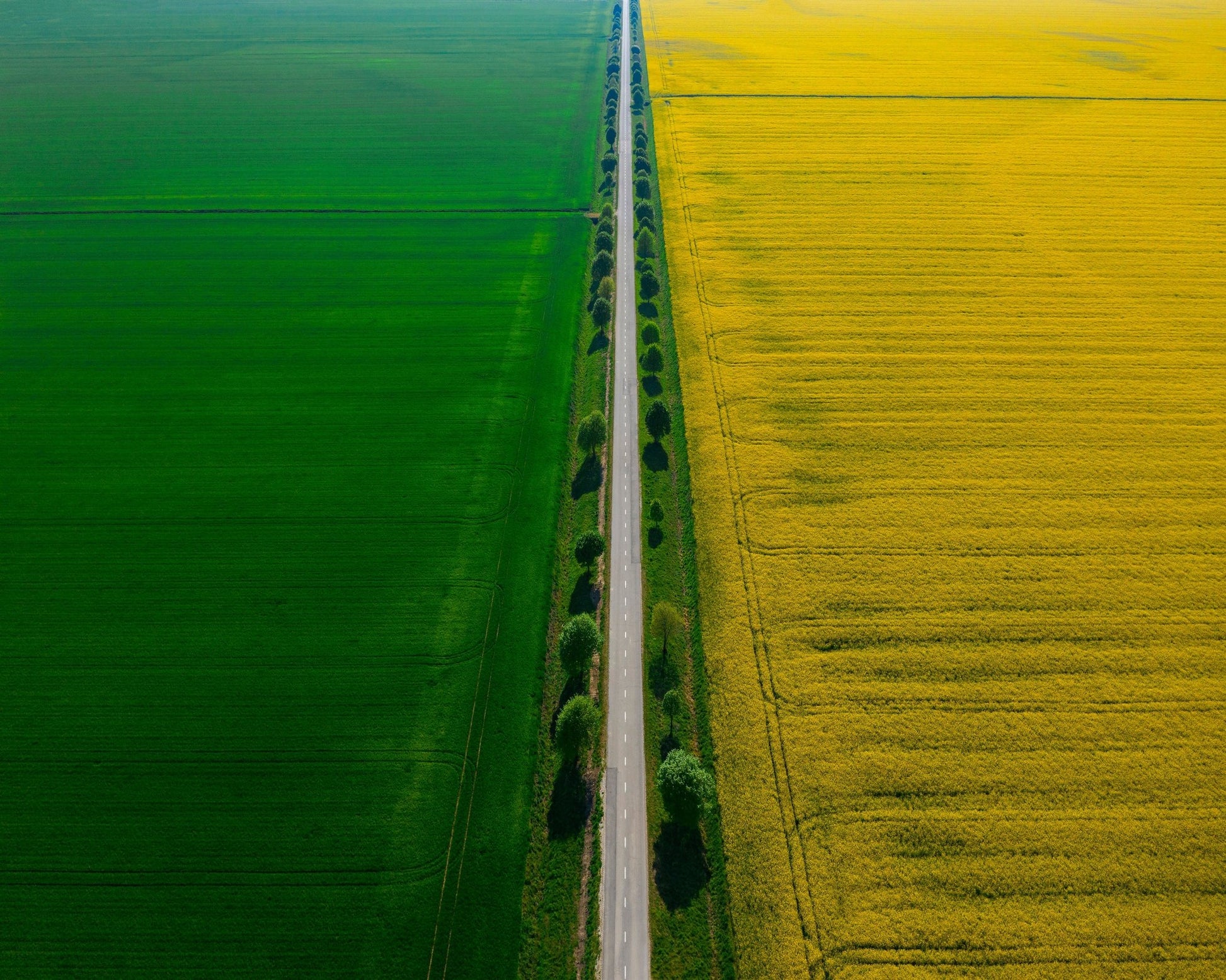 Colours of Prekmurje