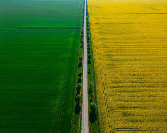 Colours of Prekmurje
