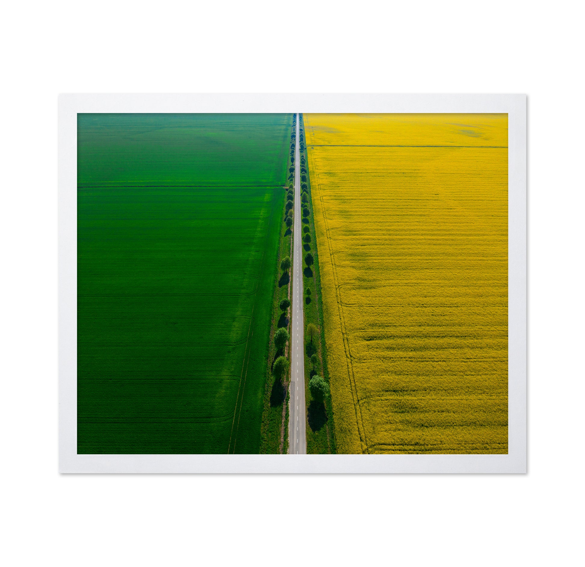 Colours of Prekmurje