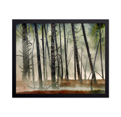Dead Wood