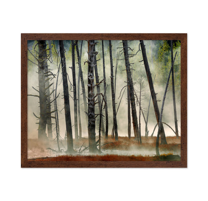 Dead Wood