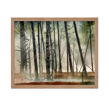 Dead Wood