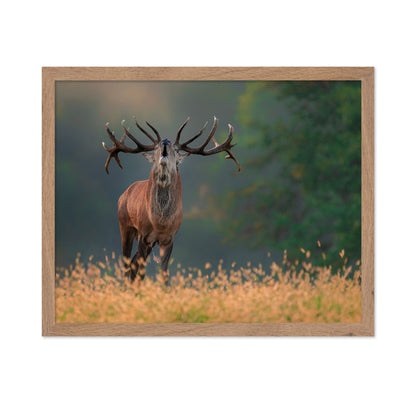 Deer wedding Song