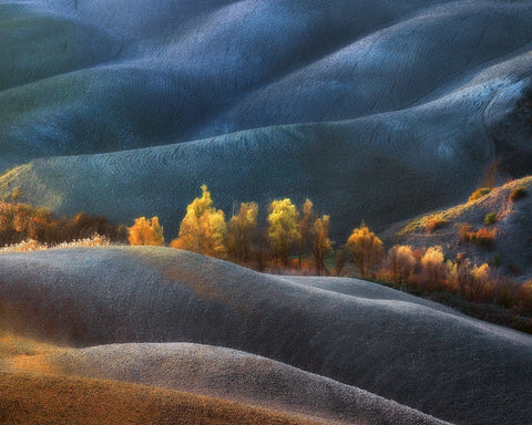 Autumn�s Embrace