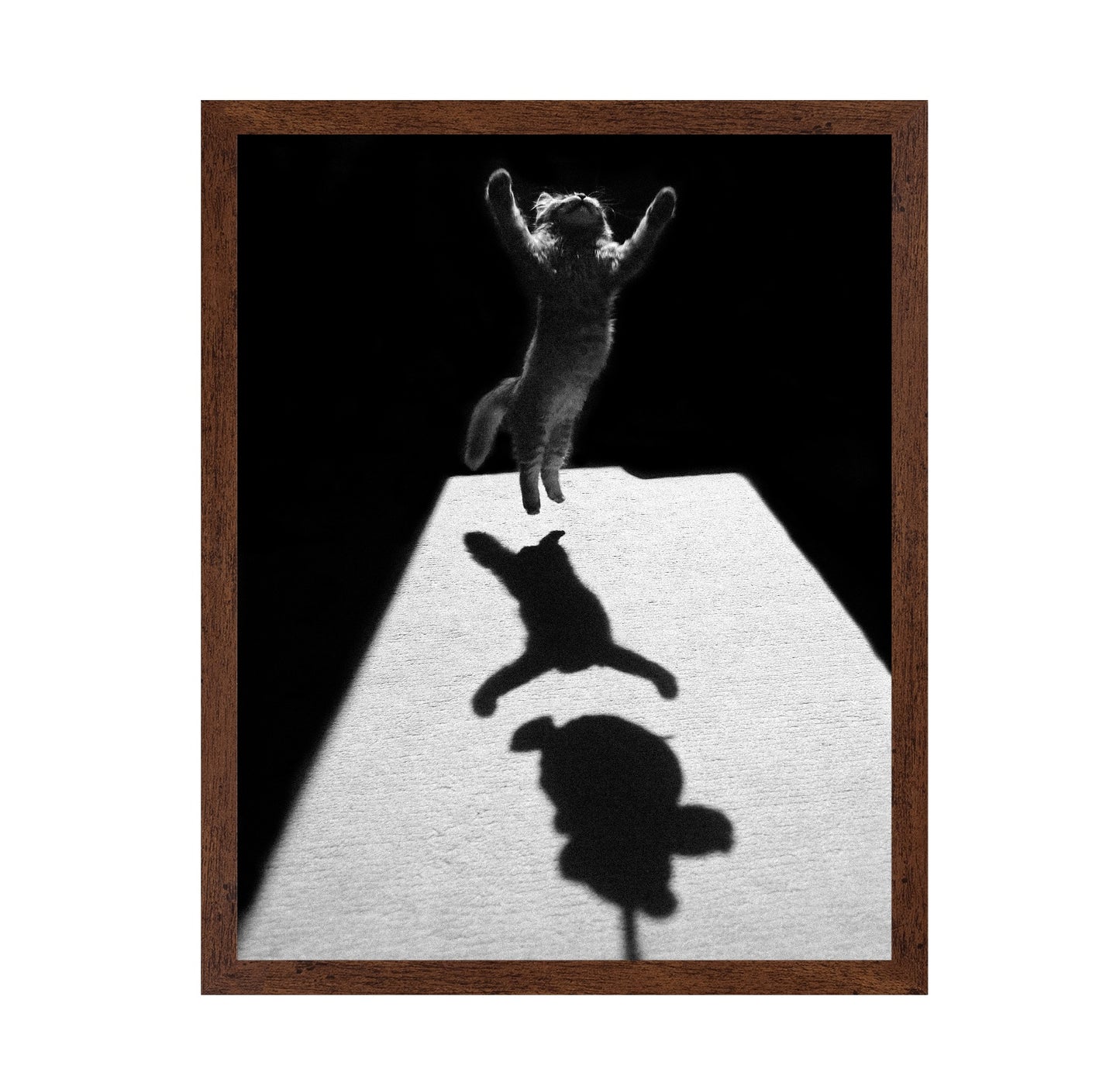 Shadow Dancer
