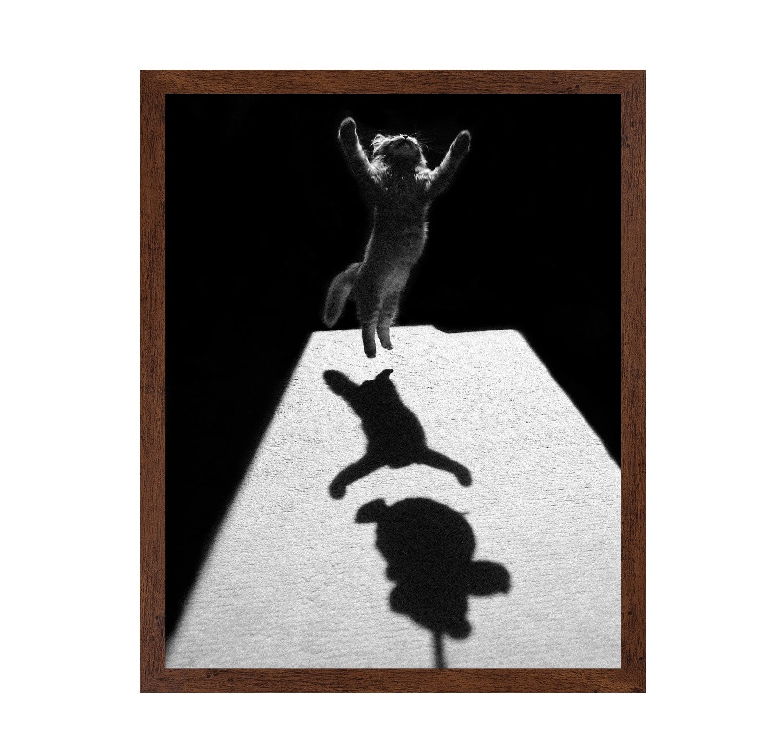 Shadow Dancer