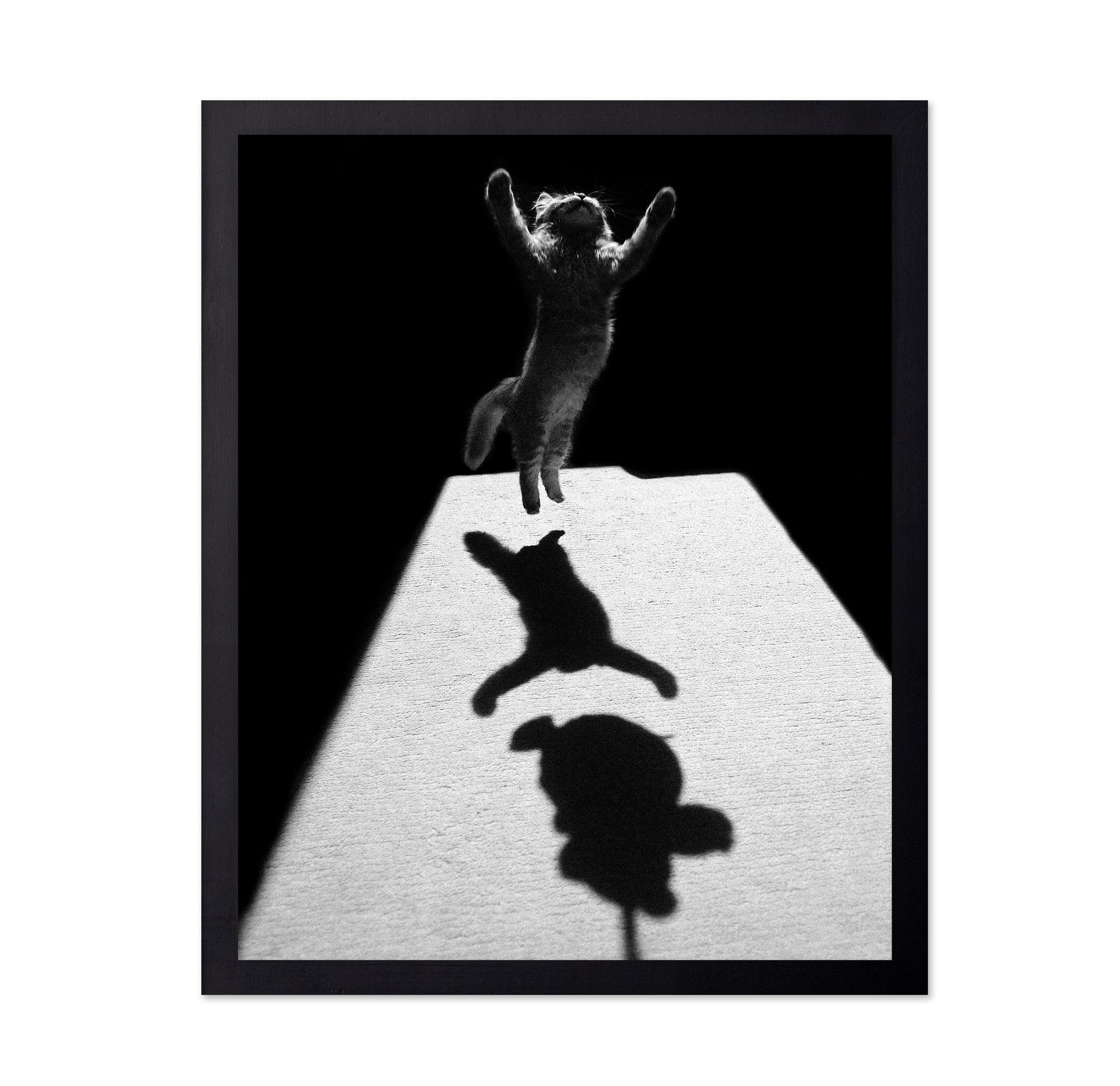 Shadow Dancer