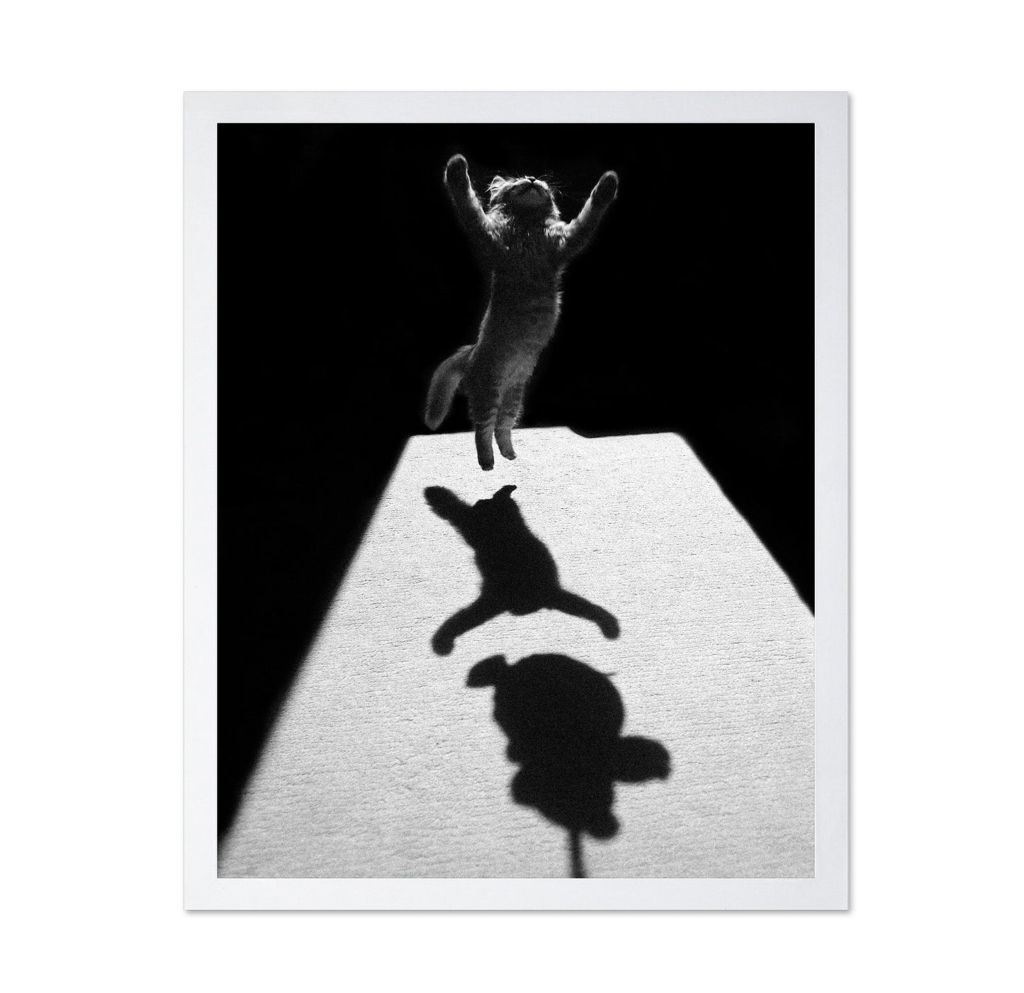 Shadow Dancer