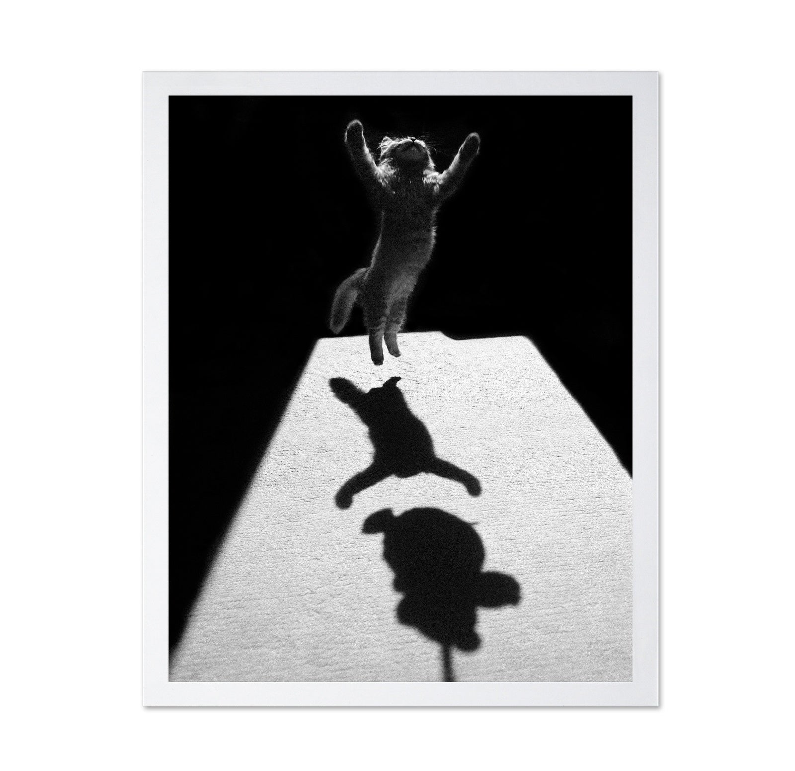 Shadow Dancer