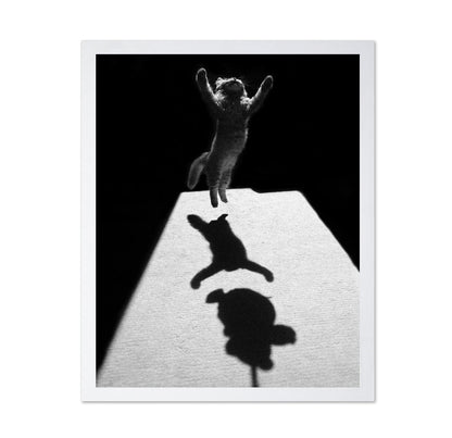 Shadow Dancer