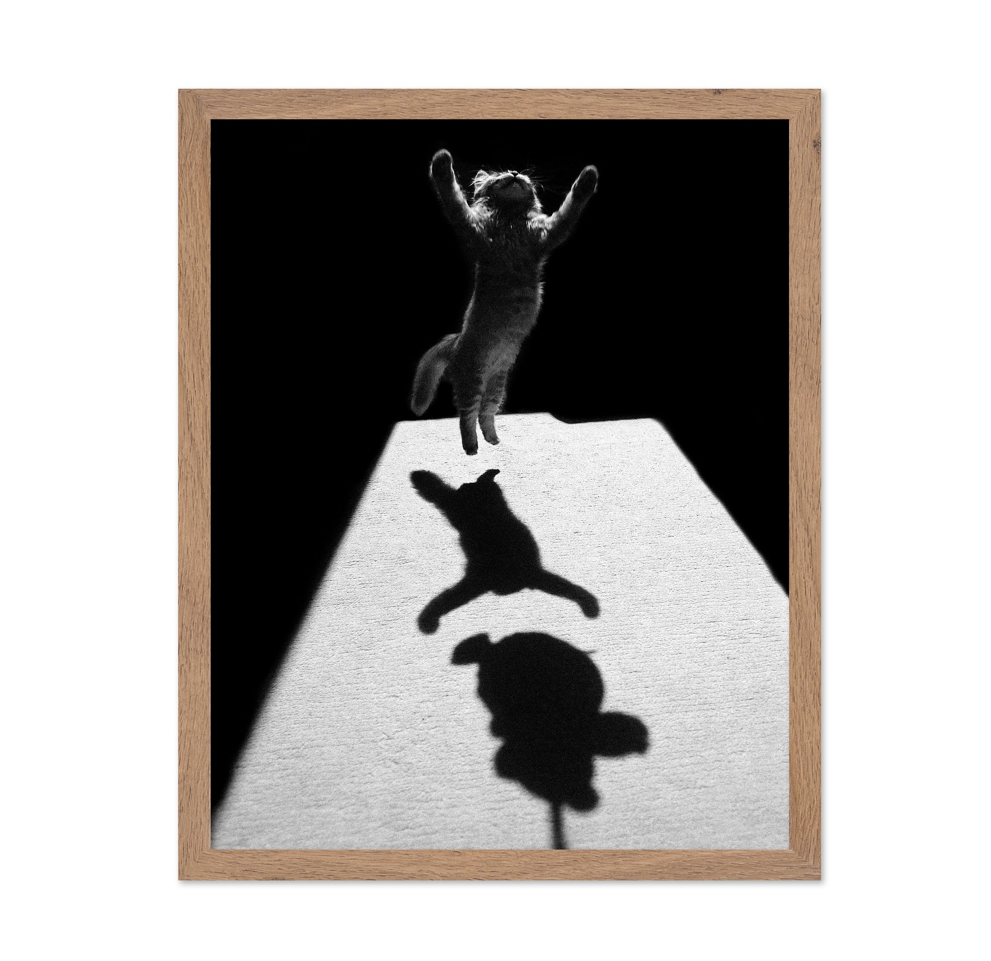 Shadow Dancer